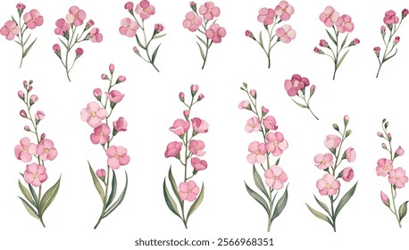 Watercolor pink floral set. Hand drawn   flower and leaf vector illustration.