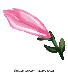 watercolor pink flower bud isolated on white background. element design
