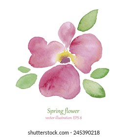 Watercolor pink flower. Vector illustration. Fixed version.