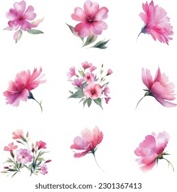 Watercolor pink flowers set. Handmade. Isolated on white background.