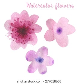 Watercolor Pink Flowers In Vector