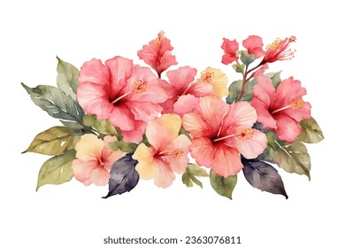 watercolor pink hibiscus flowers bouquet elemt set isolated on white background