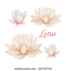 Watercolor pink Lotus flower, vector illustration.Isolated on a white background.