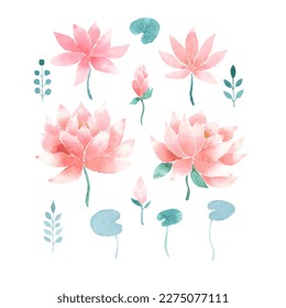 Flores y hojas de loto rosa color de agua, conjunto vectorial de elementos de diseño sobre fondo blanco, símbolo de la India, prácticas orientales, yoga, ayurveda, meditación y cultura budista