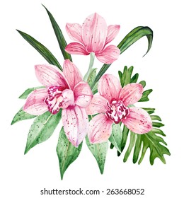 Watercolor pink Orchid flowers. Vector illustration