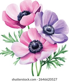 Watercolor Pink and Purple Anemone Flowers vector illustration