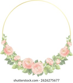 watercolor pink ranunculus buttercup flowers arrangement with golden frame template