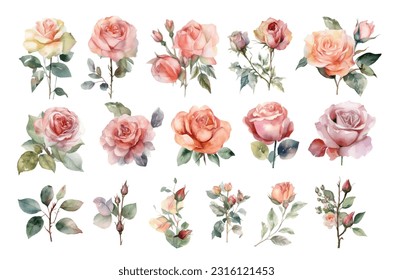 watercolor pink rose clipart for graphic resources