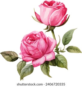 watercolor pink rose clipart, painting pink flower