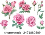 watercolor pink rose flower bouquet