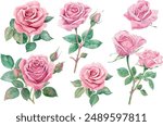 watercolor pink rose flower bouquet for valentines day