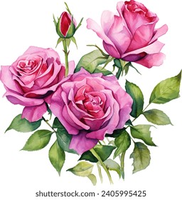 watercolor pink rose flower bouquet for valentines day