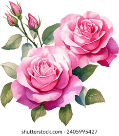 watercolor pink rose flower bouquet for valentines day