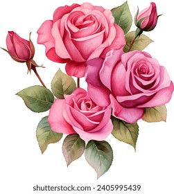 watercolor pink rose flower bouquet for valentines day