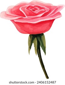 watercolor Pink rose flower bouquet
