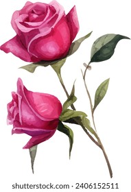 watercolor Pink rose flower bouquet