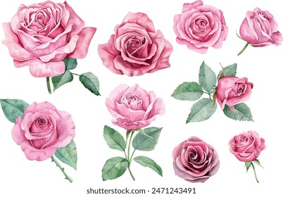 watercolor pink rose flower bouquet set for valentines day