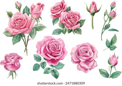 watercolor pink rose flower bouquet