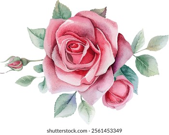 Watercolor pink rose flower bouquet