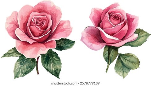 watercolor pink rose flower bouquet set for valentines day
