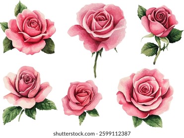 watercolor pink rose flower bouquet for valentines day	