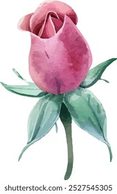 watercolor pink rose flower clip art