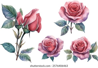 watercolor pink rose flower clip art