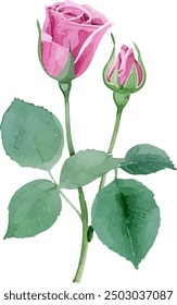 Clipart de flor rosa de acuarela