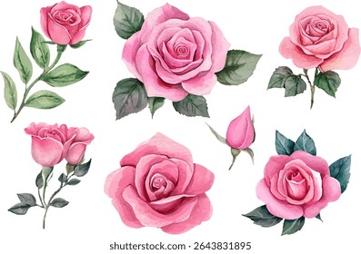 watercolor pink rose flower clipart