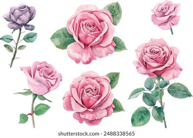 Watercolor pink rose flower and leaf bouquet clipart collection