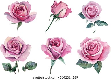 Watercolor pink rose flower and leaf bouquet clipart collection