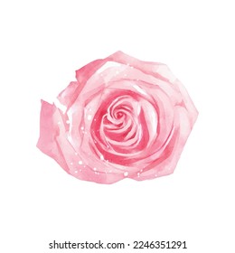 Acuarela del vector rosa rosado. Ideal para festivales de primavera decorativos, invierno, San Valentín, invitaciones o tarjetas de felicitación.