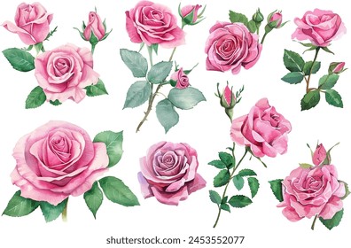 Acuarela Rosa Rosas Colección Clipart