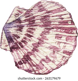 watercolor pink shell vector illustration