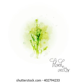 Watercolor plant design
