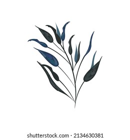watercolor plant illustration over white