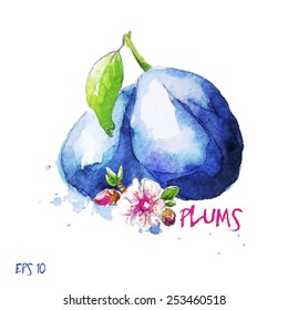 watercolor plums,all elements on separate layer