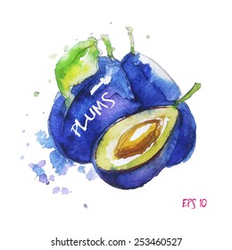 watercolor plums,all elements on separate layer