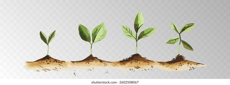 Watercolor PNG set of growing green plants. Infographic elements for planting, tree growth, agriculture, environmental conservation, and reforestation concepts.