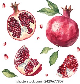 Watercolor pomegranate fruit set whole and half and green leaves. Watercolor hand drawn vector illustration isolated on white background