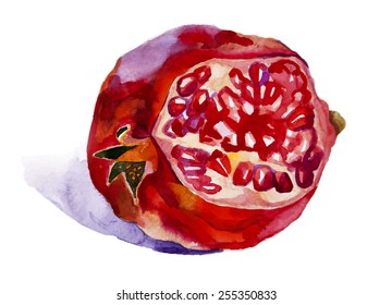 Watercolor pomegranate with seeds. Hand drawn illustration, vector.