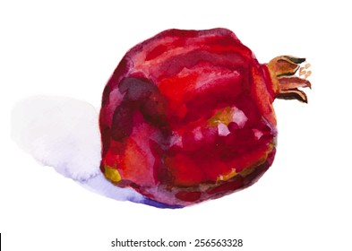 Watercolor pomegranate with seeds. Hand drawn illustration.
