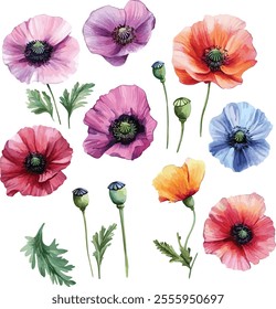 watercolor Poppies flowers set on white, vector set, perfect for invitation wedding card