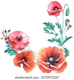 Papoilas aquarela, ilustração floral desenhada à mão, flores silvestres isoladas no fundo branco. Ilustração vetorial em estilo de aquarela.