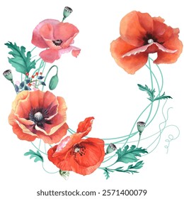 Watercolor poppies, hand drawn floral illustration, wildflowers isolated on white background. Vector illustration in watercolor style.