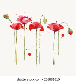 Watercolor   poppies  set. Hand drawn vector illustration.