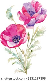 Watercolor poppy flower. Pink flowers with leaves and berries isolated on white. Hand painted artwork with petals. wedding book design