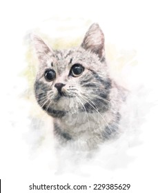 watercolor portrait of the cat