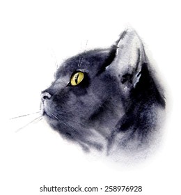 watercolor portrait of the cat