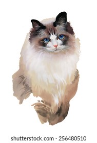 Watercolor portrait of cat illustration isolated on white background vector